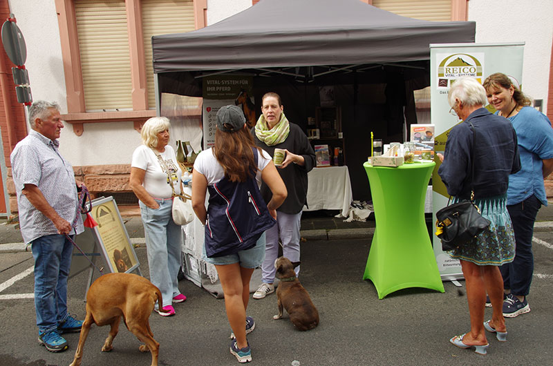 Buergeler-Markt-2025-091